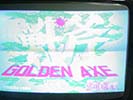 Sega System 16B Golden Axe repair